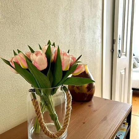 Apartamento Sj2d Baixa New Air Conditioning Spacious And Friendly